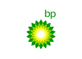 16.webp