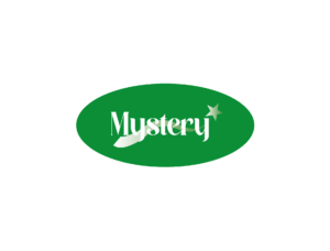 mystery-1.png
